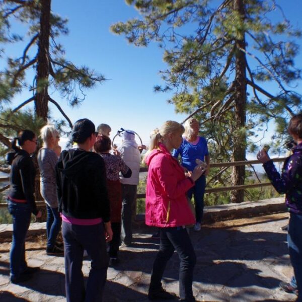 eesti vabariigi sunnipaeva tahistamine tenerifel 2013 153