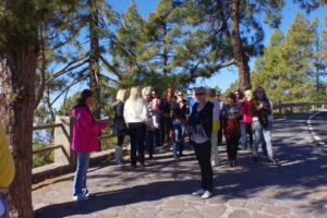 eesti vabariigi sunnipaeva tahistamine tenerifel 2013 155