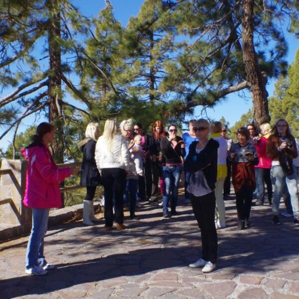 eesti vabariigi sunnipaeva tahistamine tenerifel 2013 155