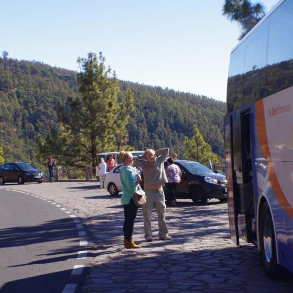 eesti vabariigi sunnipaeva tahistamine tenerifel 2013 168