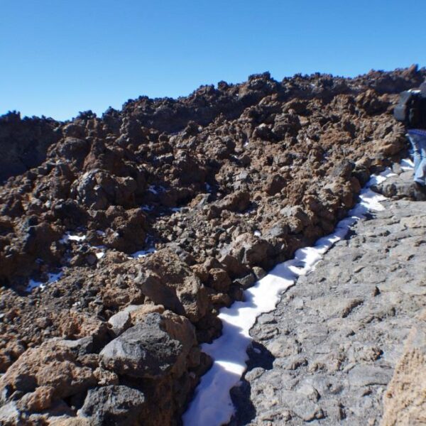 eesti vabariigi sunnipaeva tahistamine tenerifel 2013 189