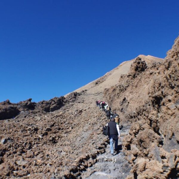 eesti vabariigi sunnipaeva tahistamine tenerifel 2013 190