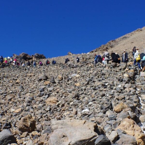 eesti vabariigi sunnipaeva tahistamine tenerifel 2013 198