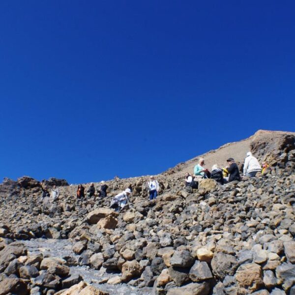 eesti vabariigi sunnipaeva tahistamine tenerifel 2013 202