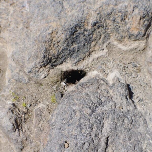 eesti vabariigi sunnipaeva tahistamine tenerifel 2013 217