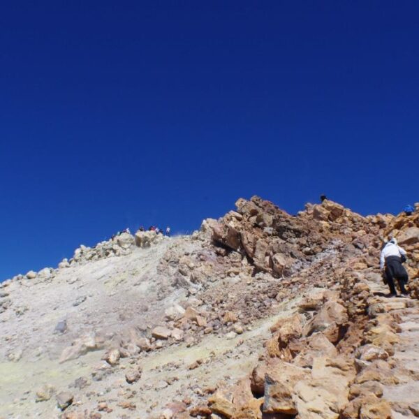 eesti vabariigi sunnipaeva tahistamine tenerifel 2013 223
