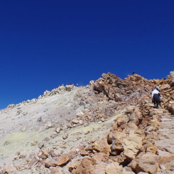 eesti vabariigi sunnipaeva tahistamine tenerifel 2013 224