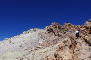 eesti vabariigi sunnipaeva tahistamine tenerifel 2013 225