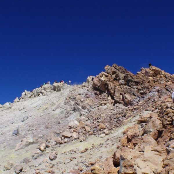 eesti vabariigi sunnipaeva tahistamine tenerifel 2013 225