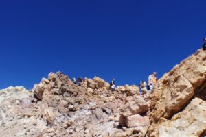 eesti vabariigi sunnipaeva tahistamine tenerifel 2013 252