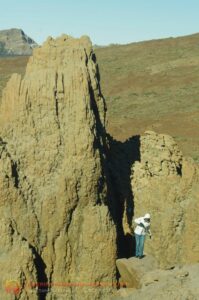 ew96 Eesti Vabariigi sünnipäeva tähistamine Tenerifel 2014