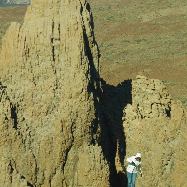 ew96 Eesti Vabariigi sünnipäeva tähistamine Tenerifel 2014