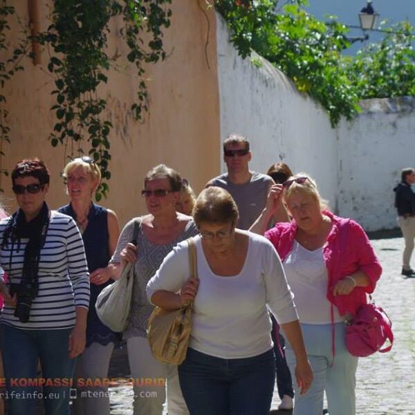 eesti vabariigi sonnipaeva tahistamine tenerifel 2014 10