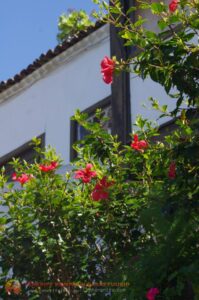 eesti vabariigi sonnipaeva tahistamine tenerifel 2014 13