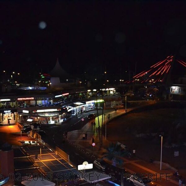 eesti vabariigi sunnipaeva tahistamine tenerifel 2016 157