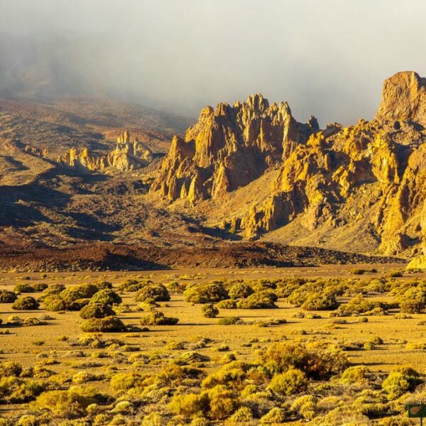 Kanaari saared ruudi kivinurm 106