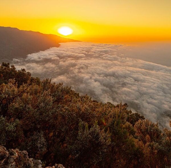 Mirador de jinama el hierro island canary spain