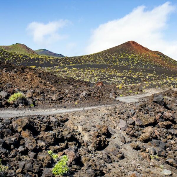 Kanaari saared ruudi kivinurm 142