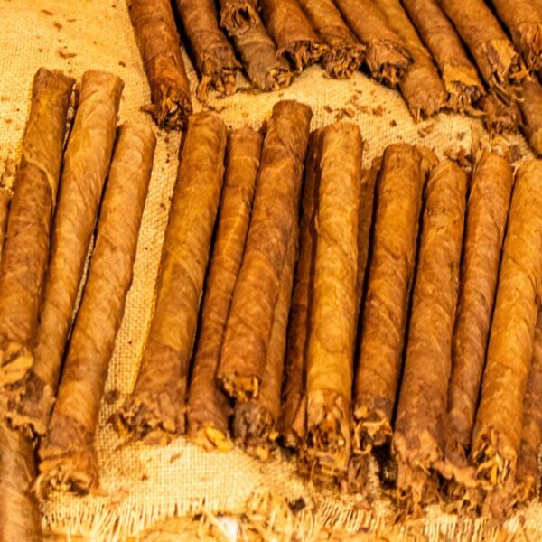 Kanaari saared ruudi kivinurm 36 2