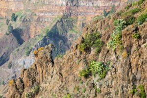 Kanaari saared ruudi kivinurm 44