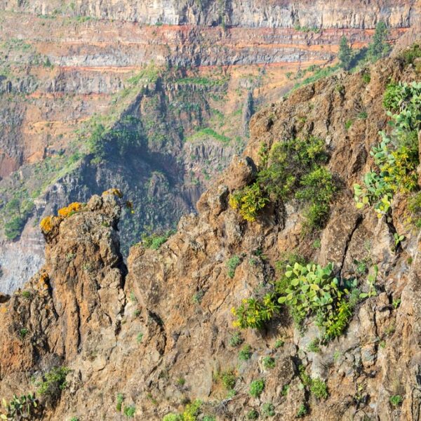 Kanaari saared ruudi kivinurm 44