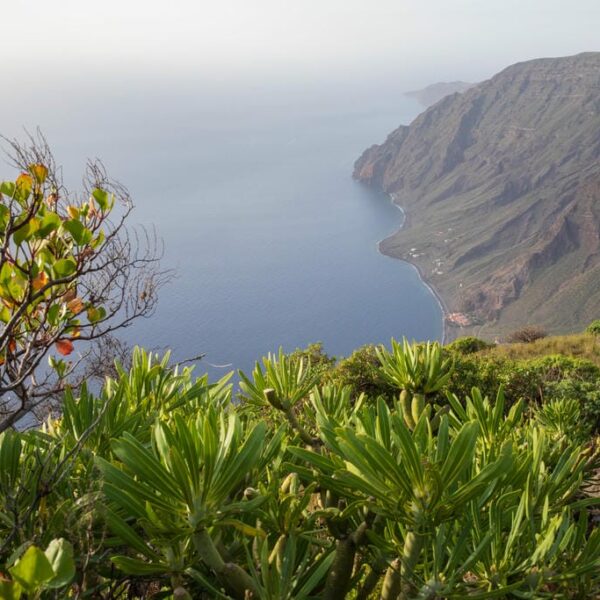 Kanaari saared ruudi kivinurm 55