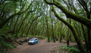 Kanaari saared ruudi kivinurm 68