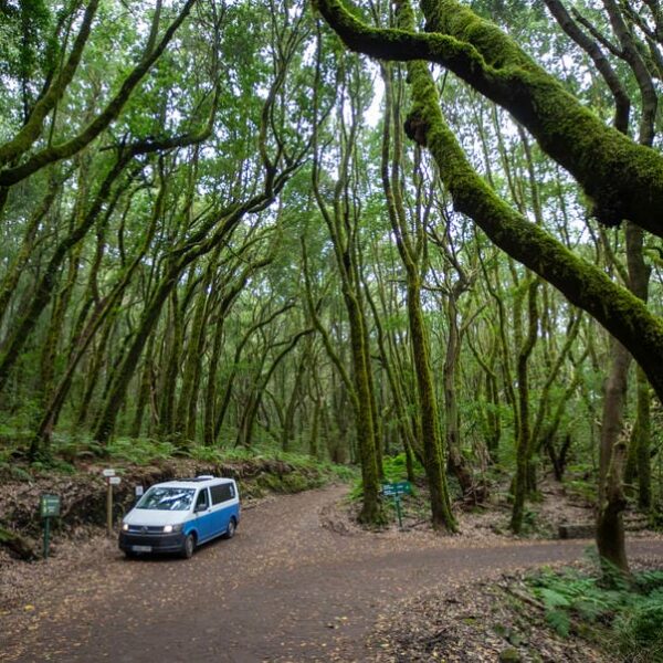 Kanaari saared ruudi kivinurm 68