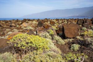 Kanaari saared ruudi kivinurm 89