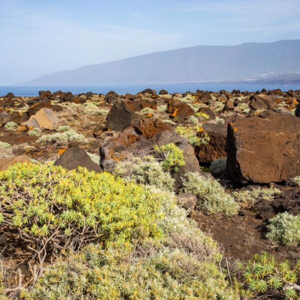 Kanaari saared ruudi kivinurm 89