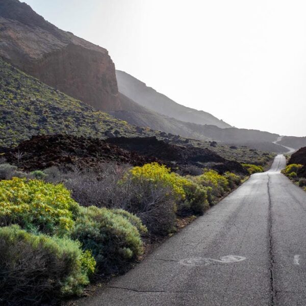 Kanaari saared ruudi kivinurm 93