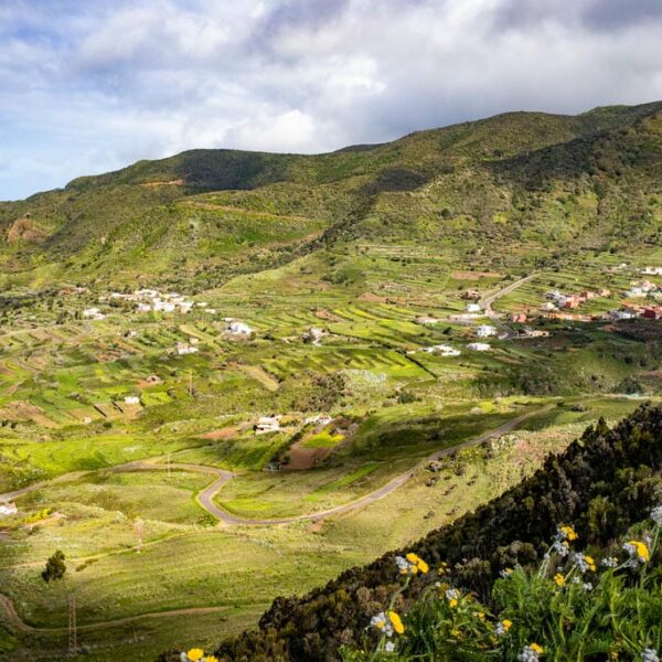 Kanaari saared ruudi kivinurm 98