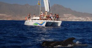 Katamaraaniga purjetamine Tenerifel – lõõgastav merering Kanaari saartel