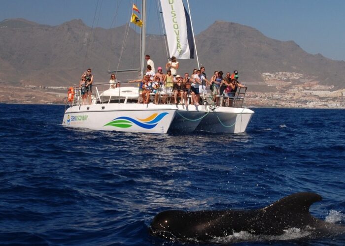 Katamaraaniga purjetamine Tenerifel – lõõgastav merering Kanaari saartel