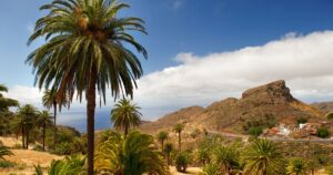 Ekskursioon La Gomera saarele – Garajonay mets ja Kanaari saarte loodus