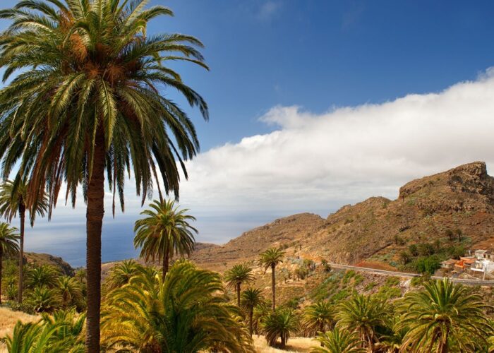 Ekskursioon La Gomera saarele – Garajonay mets ja Kanaari saarte loodus