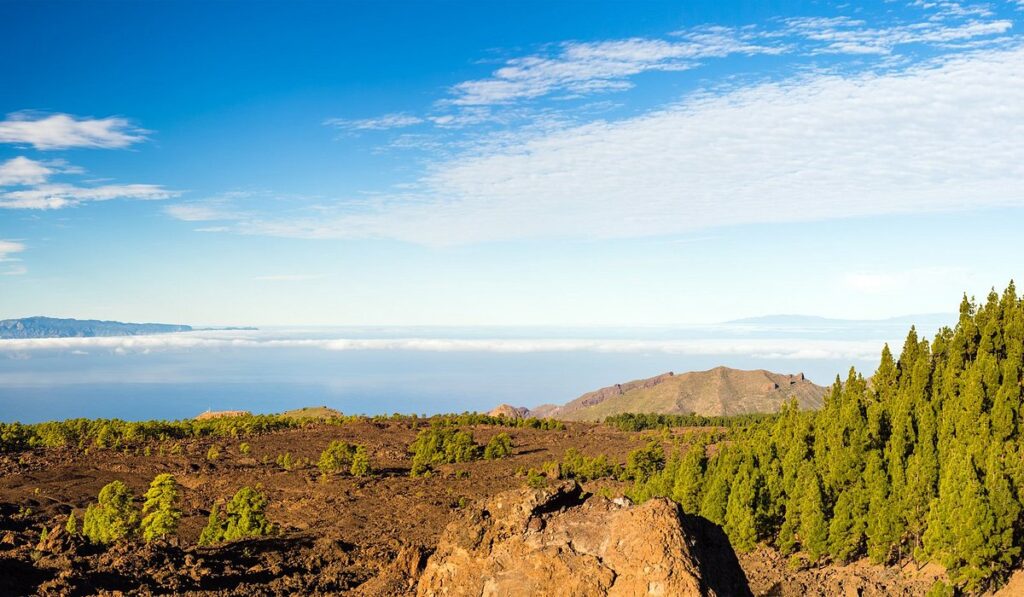 La palma isla bonita 5