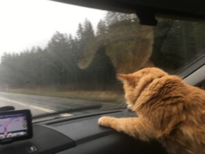 Laevaga tenerife saaremaa 10