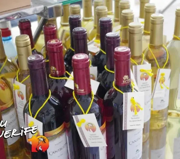 Veinipudelid Tenerife saarel, kohaliku toidu ja veini nautimiseks.