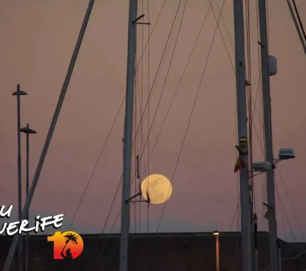 Laevatrossid ja päikeseloojang Tenerifel, Minu Tenerife.