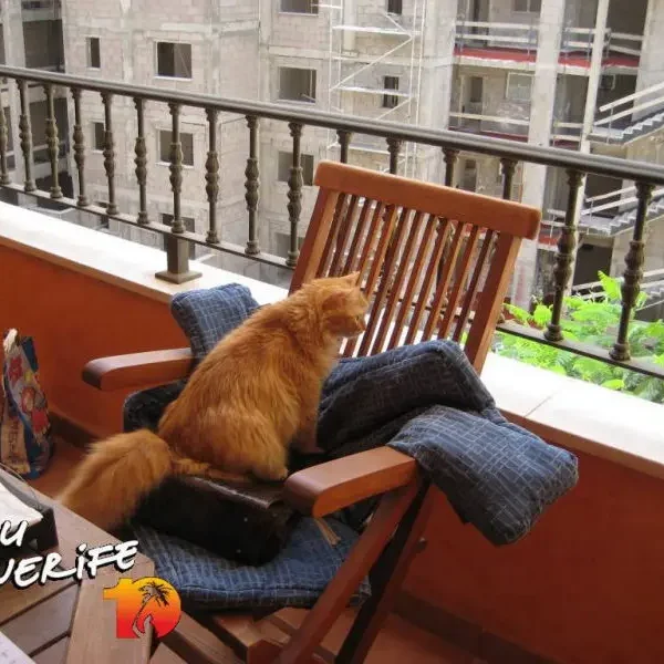 Tenerife, Minu, vaikselt, rõdu, puhkus, päike.