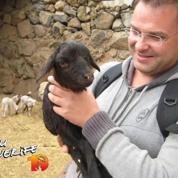 Mees hoiab väikelammast Tenerife saarel.