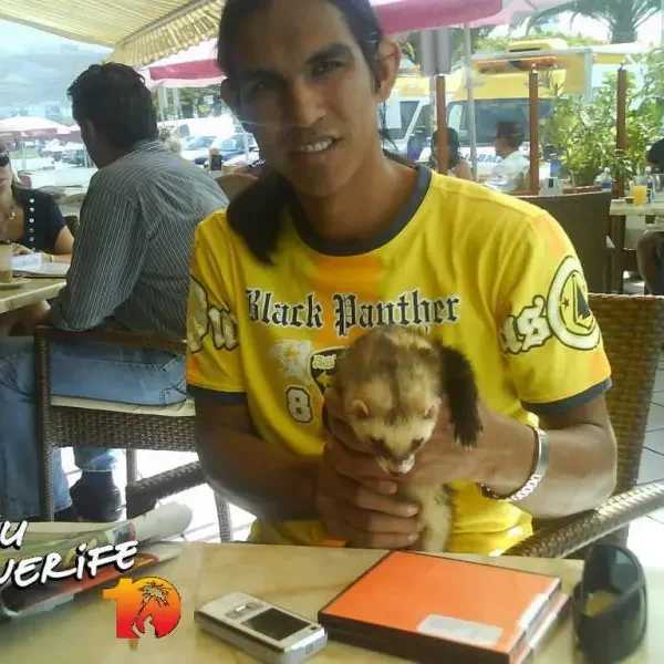 Kohvik Tenerife Kompass, kus Minu Tenerife ja tema koer naudivad päikeselist päeva ja maitsvat toitu.