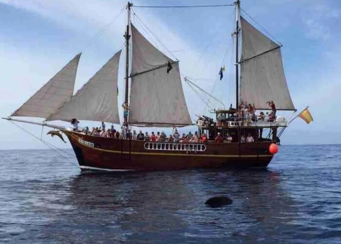 Piraadilaevaga Los Gigantes'i kaljudeni – 3-tunnine retk Tenerifel