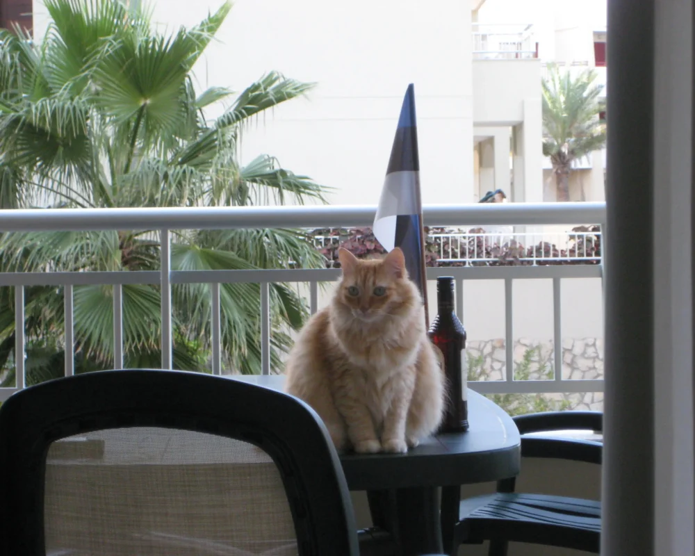 Tenerife eestlased ehk kliimapagulased 2 3072x 2304 2