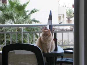 Tenerife eestlased ehk kliimapagulased 2 3072x 2304 2