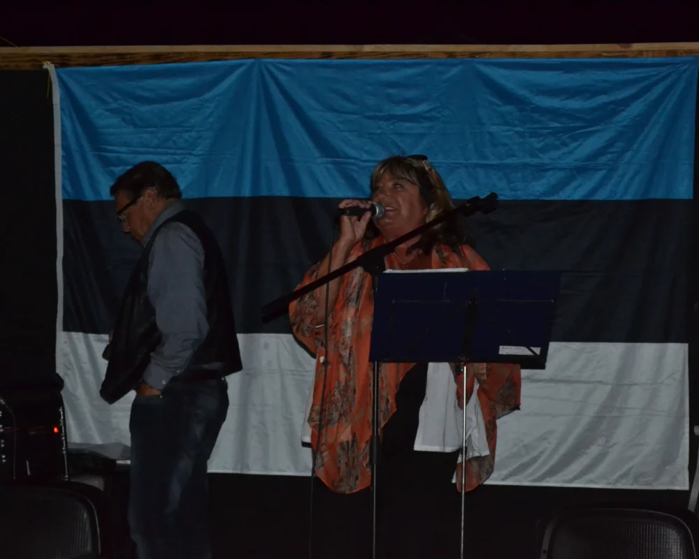 Eesti lipu taustaga esinemine Tenerife konverentsil.