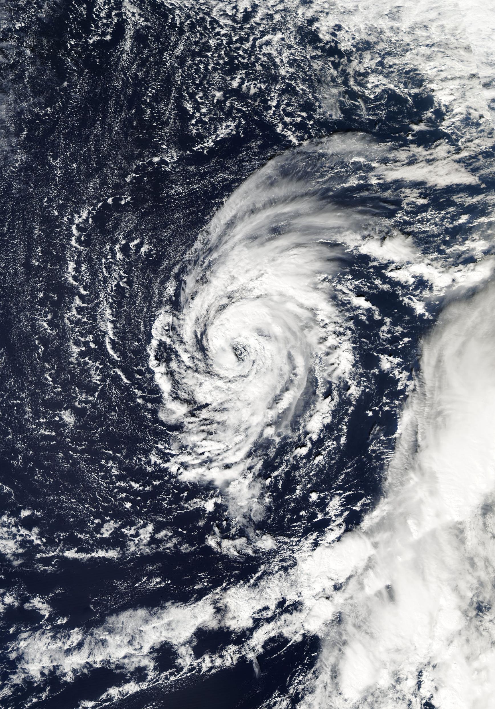 TROOPILISED TORMID TENERIFEL