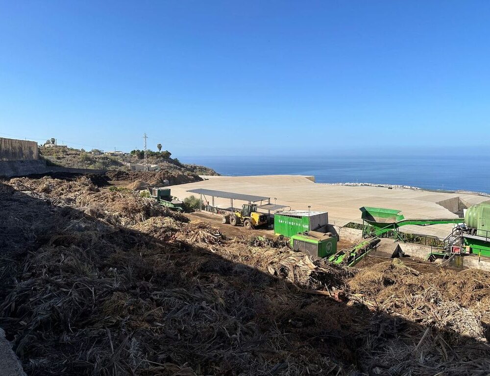 Banaanituur ja Guia de Isora linnaekskursioon