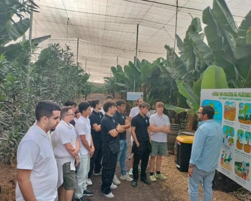 Banaanituur ja Guia de Isora linnaekskursioon